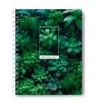 Тетрадь ученическая общая с двойной обложкой, A5 96 л. на гребне 65 г/м², белизна 100 %, 4 шт, клетка, 01209 Грани прекрасного, Светоч Т118