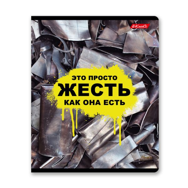 Тетрадь ученическая общая, твин лак, A5+ 60 л. на скобе 65 г/м², белизна 100%, 10 шт, клетка в термоусадочной пленке, 000480 Жесть, Светоч 60ТСК5_8_2_1
