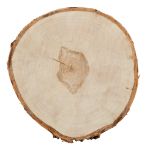 Срез дерева d. 25±3, 1 шт, береза, Blumentag Срез-27