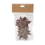 Декоративные элементы из коры дерева "Звезда", 7см, 12 шт, нат/дерево