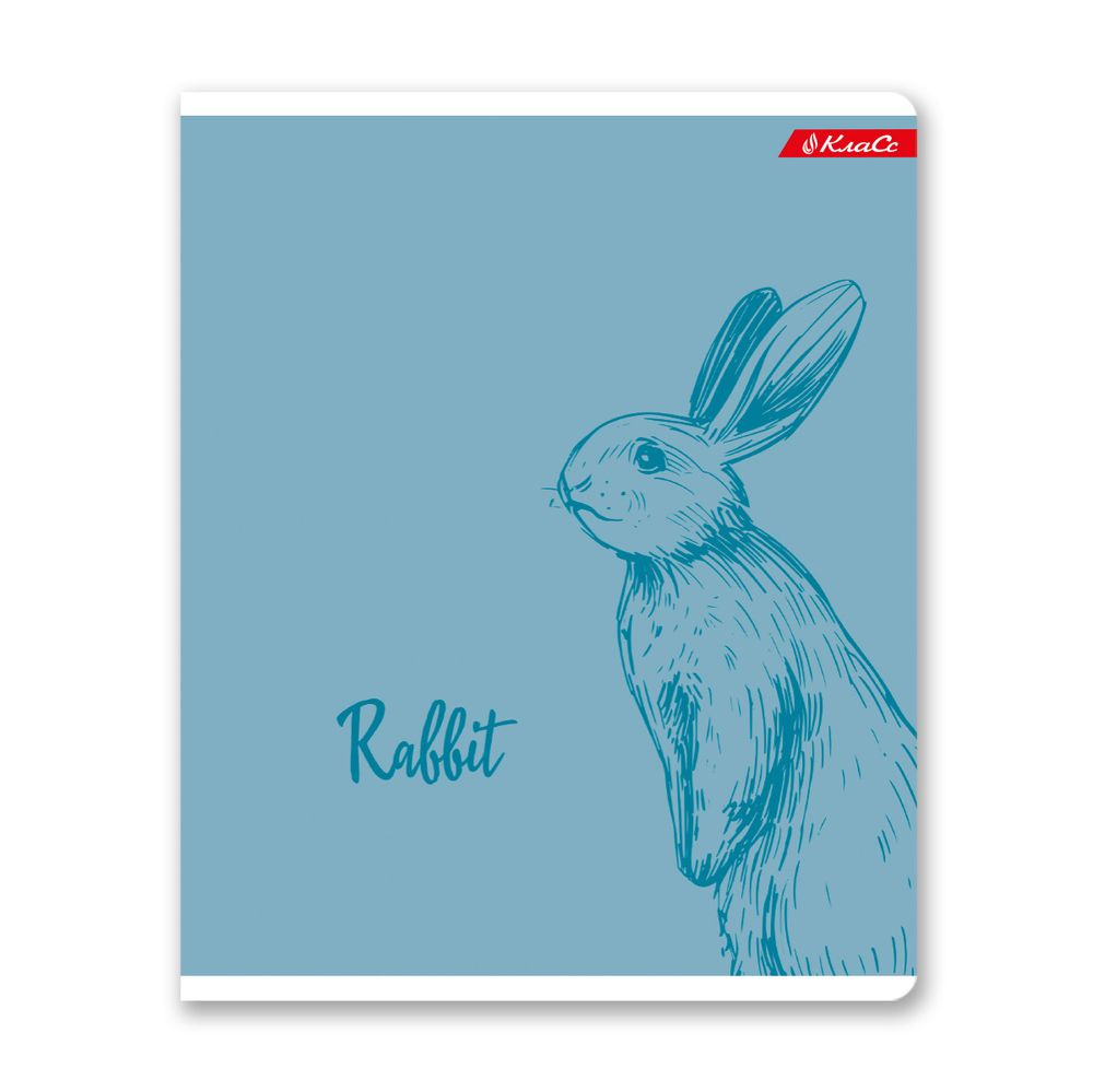 Тетрадь ученическая общая, матовая ламинация + выборочный УФ лак, A5+ 48 л. на скобе, белизна 100%, 10 шт, клетка, 000315 Зайчишка, Светоч 48ТСК5_24_3_1