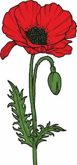 Термоаппликация Gamma Термотрансфер M №06, 1 шт, M-623 Мак 7х15 см