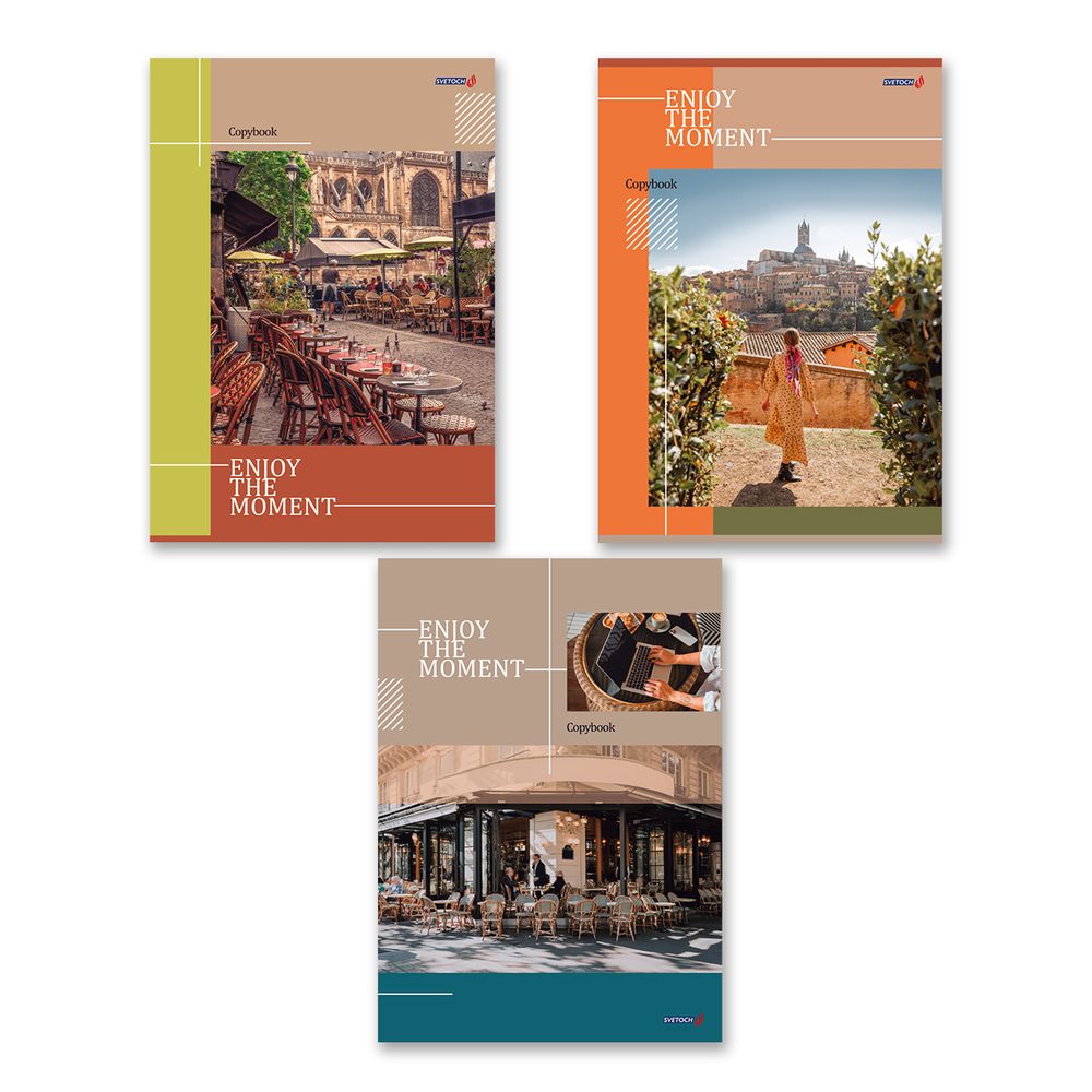 Тетрадь ученическая общая, матовая ламинация, A4 80 л. на скобе 65 г/м², белизна 100%, 6 шт, клетка, 000462 Лови момент, Светоч 80ТСК4_2_2_1