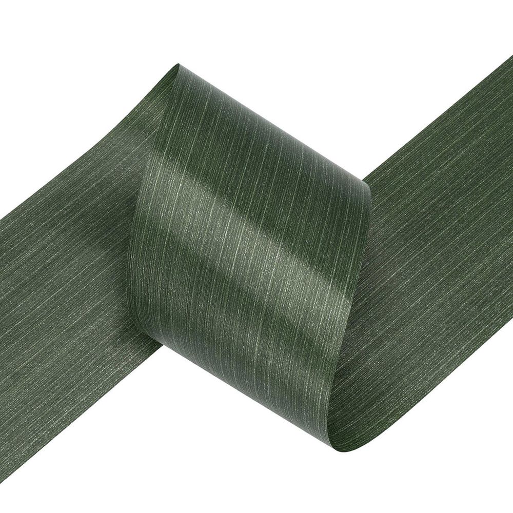 Лента флористическая Аспидистра 98 мм / 10 метров, R100-10DPS