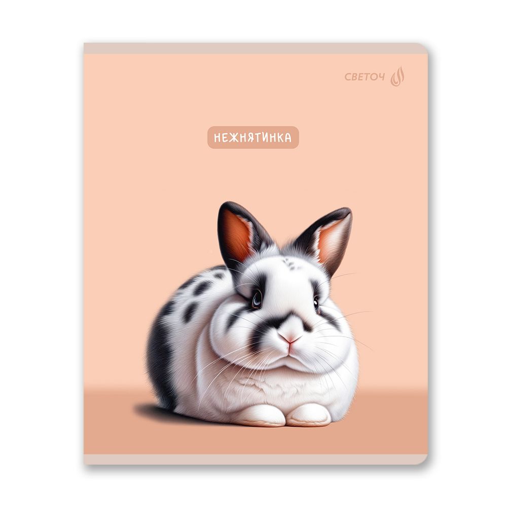 Тетрадь ученическая общая, твин лак A5 60 л. на скобе 65 г/м², белизна 100% 10 шт клетка, 01521 Ушастик, Светоч Т201