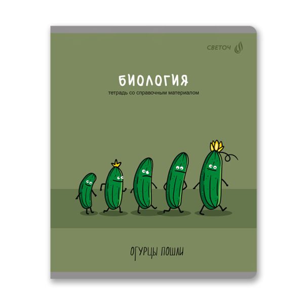 Комплект тетрадей со справочными материалами Большая перемена, выбор.лак, A5 48 л. 12 шт на скобе 65 г/м², белизна 100% 1 шт клетка/линия, 01884 12 предметов, Светоч Т295