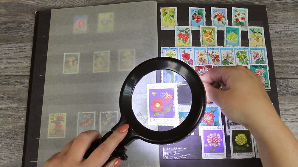 Лупа складная с подсветкой⌀9 см (ув.х2), Ferstel FR-06