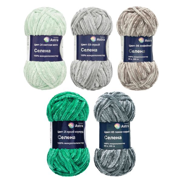 Пряжа Astra Premium (Астра Премиум) Селена / уп.5 мот. по 100 г, 68 м, ассорти №3 (5 цветов)