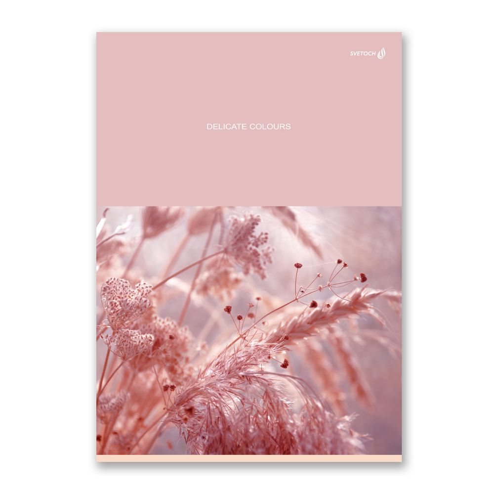 Тетрадь ученическая общая, A4 96 л. на скобе 65 г/м², белизна 100%, 6 шт, клетка, 000464 Бронзовый ковыль, Светоч 96ТСК4_0_2_1