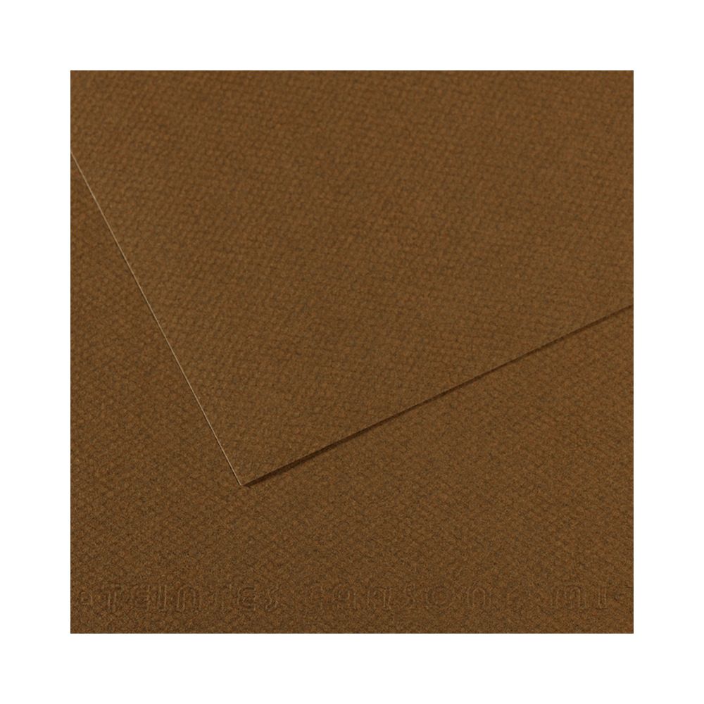 Бумага для пастели 160 г/м², 75х110 см, 25 листов, №501 коричневый табак, Canson Mi-Teintes C200331487