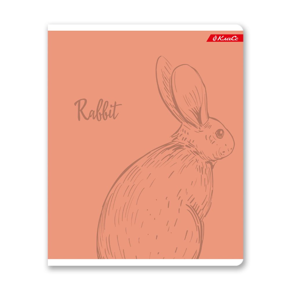 Тетрадь ученическая общая, матовая ламинация + выборочный УФ лак, A5+ 48 л. на скобе, белизна 100%, 10 шт, клетка, 000315 Зайчишка, Светоч 48ТСК5_24_3_1