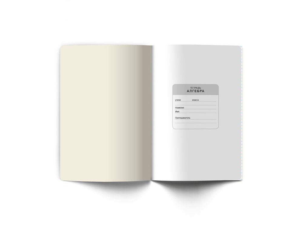 Комплект тетрадей со справочным материалом Время действовать, твин лак, A5+ 48 л. 12 шт, на скобе 65 г/м², белизна 100 %, клетка/линия, 01055 12 предметов, Светоч 48К39