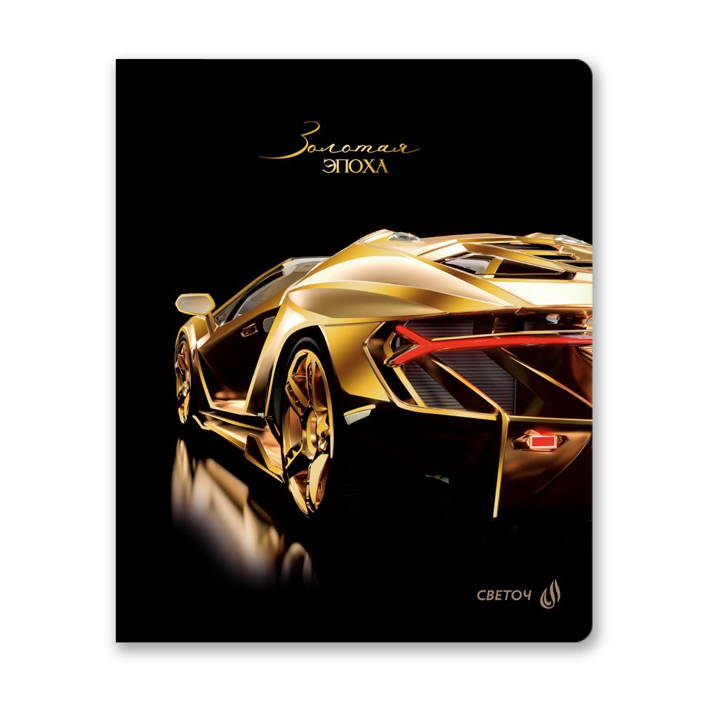 Тетрадь ученическая общая, тиснение золотой фольгой, A5+ 80 л. на скобе 65 г/м², белизна 100 %, 5 шт, клетка, 01137 Микс- Золотая эпоха, Светоч Т90