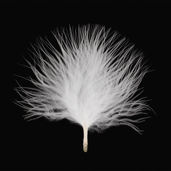 Перья декоративные 6-10 см, 5х3 г,±0.5 г, 01 белый, Mr.Painter
