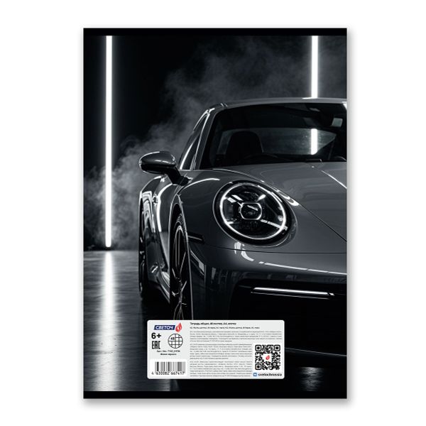 Тетрадь ученическая общая, A4 48 л. на скобе 65 г/м², белизна 100% 6 шт клетка, 01756 Магия чёрного, Светоч Т152