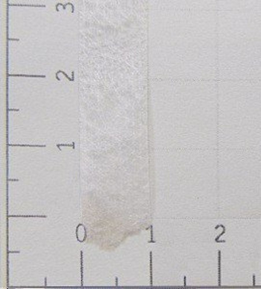 Паутинка клеевая на бумаге 23 г/м², 10 мм, 50 м, белый, L5W1P23, Danelli, OEKO-TEX®