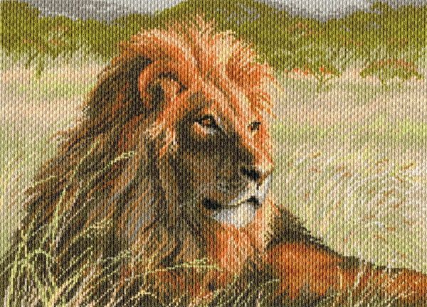 Рисунок на канве Матренин Посад 37х49 - 1709 Царь Саванны