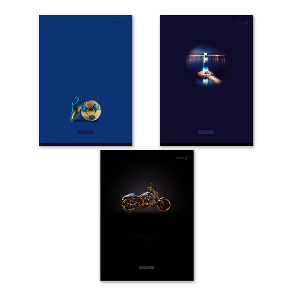 Тетрадь ученическая общая, A4 48 л. на скобе 65 г/м², белизна 100 %, 6 шт, клетка, 01341 Большая игра, Светоч Т152