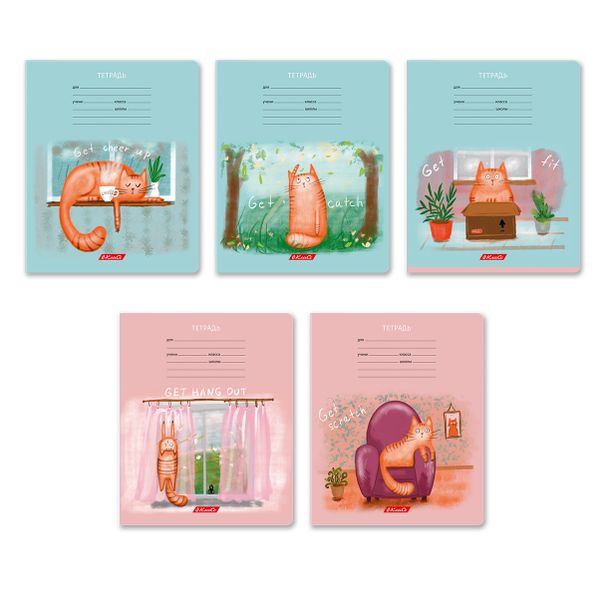 Тетрадь ученическая школьная, выборочный лак, A5+ 18 л. на скобе 65 г/м², белизна 100%, 20 шт, клетка, 000706 Жизнь кота Абрикоса, Светоч 18ТЕТк-003