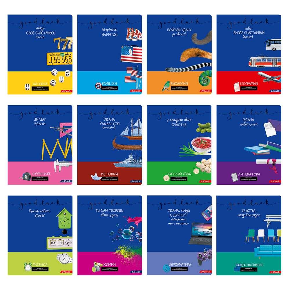 Комплект предметных тетрадей Удачная A5+ 48 л. 12 шт, на скобе 100% клетка/линия, 48КТСК5 000197 Алгебра, Английский, Биология, География, Геометрия, Физика, Химия, История, Русский, Литература, Обществознание, Информатика, Светоч
