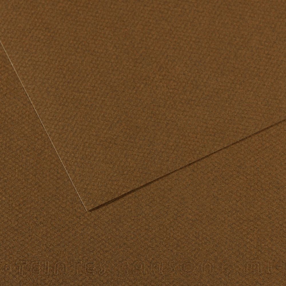 Бумага для пастели Mi-Teintes 160 г/м², 50х65 см, 10 л, №501 Коричневый табак, Canson, C31033S122