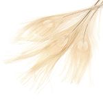 Перо павлина декоративное 25-30см, 10 штук (бежевый), AR204-2