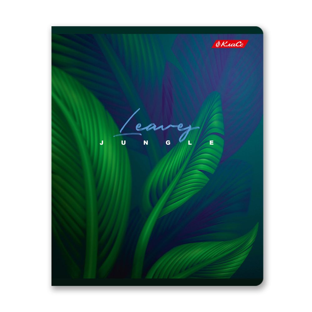 Тетрадь ученическая общая, глянцевая ламинация, A5+ 48 л. на скобе 65 г/м², белизна 100%, 10 шт, линия в термоусадочной пленке, 000763 Энергия цвета, Светоч 48ТЕТл-004