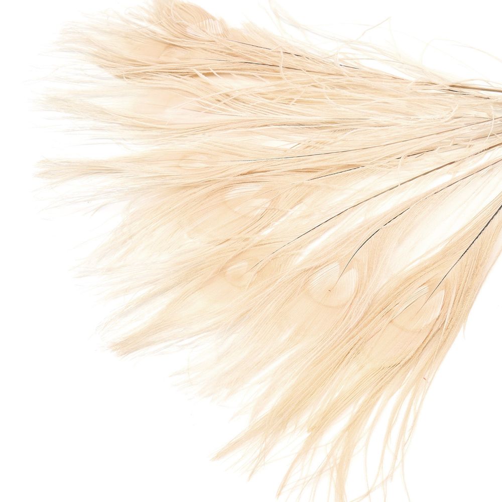 Перо павлина декоративное 25-30см, 10 штук (бежевый), AR204-2