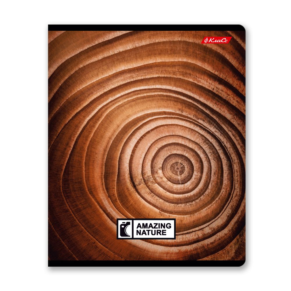 Тетрадь ученическая общая, твин лак, A5+ 60 л. на скобе 65 г/м², белизна 100%, 10 шт, клетка в термоусадочной пленке, 000477 Биосфера, Светоч 60ТСК5_8_2_1