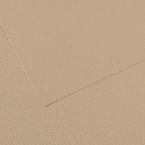 Бумага для пастели 160 г/м², 21х29.7 см, 25 листов, №343 Серо-бежевый, Canson Mi-Teintes C31032S014