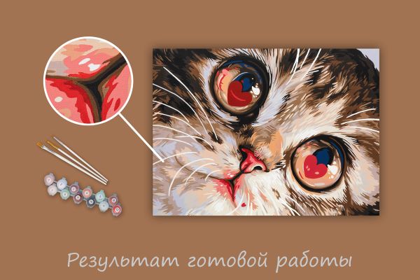 Картина по номерам Фрея PNB/PMC-308, Влюбленные глазки, (цветной холст) 40х30 см