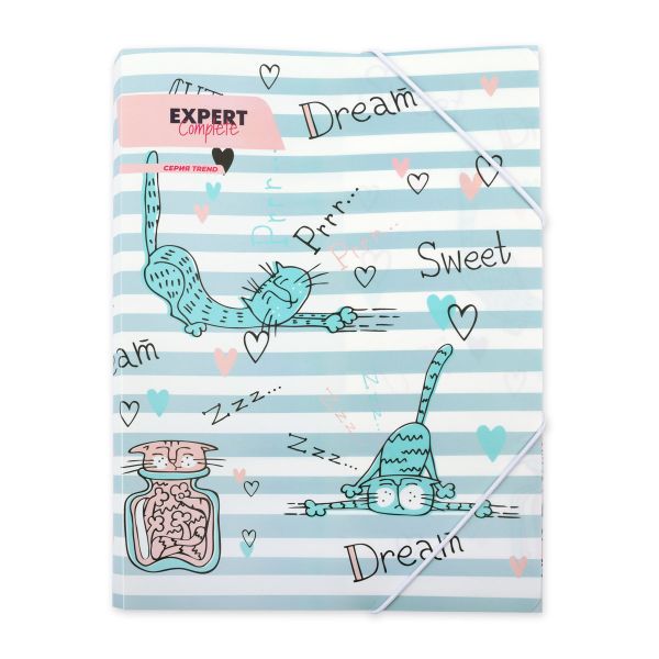 Папка на резинке A4 ECRF-04 450 мкм 35 мм, песок, 5 шт, №02-Кот, Expert Complete ECRF-04