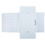 Папка на резинке A4 LRF-06 450 мкм 35 мм, песок, 5 шт, 04-Корги, Лео LRF-06