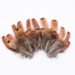 Перо фазана обработанное, 7-10см, 20 шт, XQ-660384