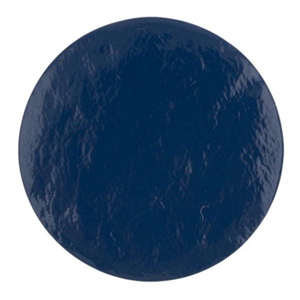 Пуговицы на ножке металл 15 мм, 24 шт, D040 т.синий, Gamma MB 0182