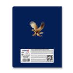 Тетрадь со справочным материалом Золотые главы, тисн.золот.фольгой, A5 48 л. на скобе 65 г/м², белизна 100% 10 шт клетка, 01848 Золотые главы Английский язык, Светоч Т286