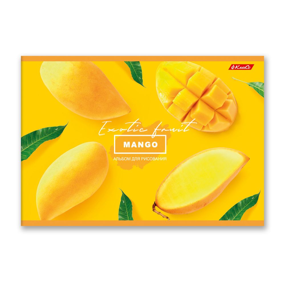 Альбом для рисования 100 г/м², A4 29х20.5 см, 48 л. на скобе, 5 шт, 000265 Сочный фрукт, Светоч 48АЛСК4_1_3_9