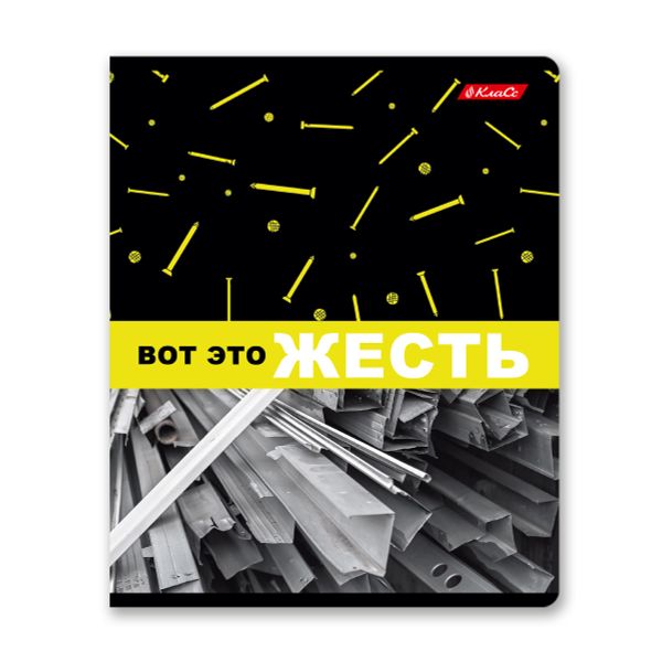 Тетрадь ученическая общая, твин лак, A5+ 60 л. на скобе 65 г/м², белизна 100%, 10 шт, клетка в термоусадочной пленке, 000480 Жесть, Светоч 60ТСК5_8_2_1