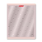 Тетрадь ученическая общая, матовая ламинация + тиснение серебряной фольгой, A5+ 48 л. на скобе 65 г/м², белизна 100%, 10 шт, клетка в термоусадочной пленке, 000743 Серебряная мечта, Светоч 48ТЕТк-007