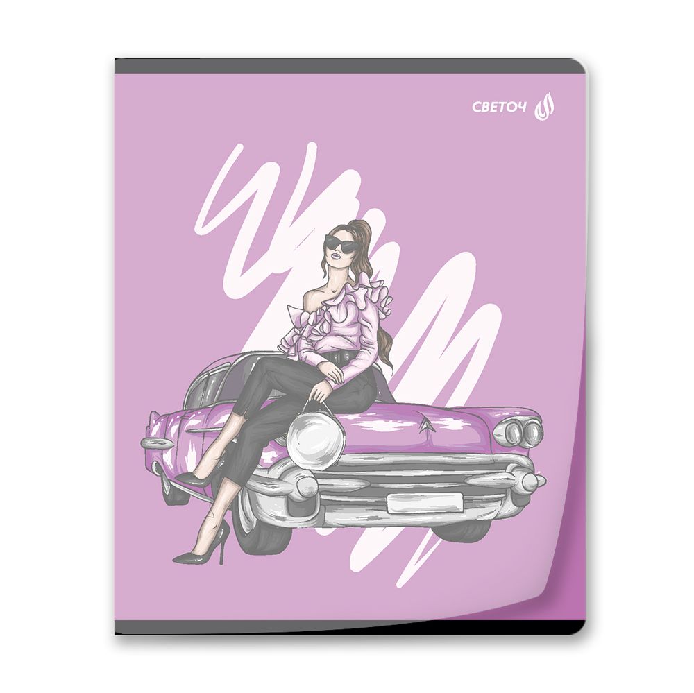 Тетрадь общая с пластик. прозр. обложкой 180 мкм, цвет.запечат.титул лист A5 48 л. на скобе 65 г/м², белизна 100% 10 шт клетка, 01498 Девочки Online, Светоч Т197