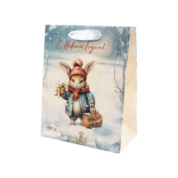 Пакет подарочный 210 г/м², 18х23х10 см, 12 шт, 02, Stilerra NFYS