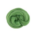Шерсть для валяния (до 29 мкр), 50 г. 0582 зел.яблоко, Gamma TFS-050