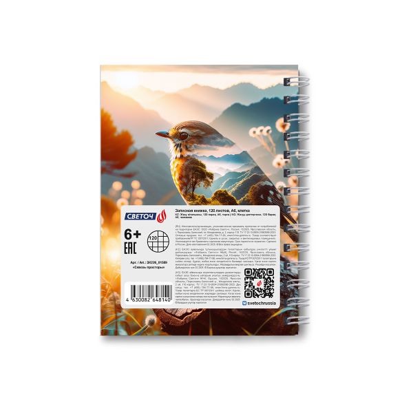 Записная книжка с твердым переплетом, глянцевая ламинация, на гребне A6 120 л. 4 шт клетка, Сквозь просторы 01589, ЗК226 Светоч