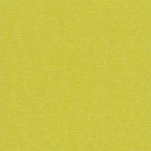 Бумага для скрапбукинга 216 гр/м², 30.5х30.5 см, 10 шт, 45 Зеленый чай (желто-зеленый), Mr.Painter PST