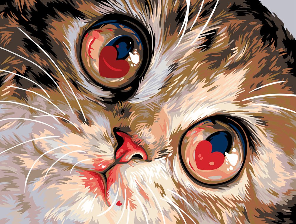 Картина по номерам Фрея PNB/PMC-308, Влюбленные глазки, (цветной холст) 40х30 см