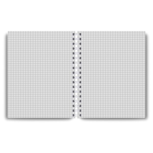 Тетрадь общая с пластик. обложкой, ч/б запечат. титульн. лист, 180 мкр, A5+ 48 л. на гребне 65 г/м², белизна 100%, 4 шт, клетка, 000800 Девиз дня, синяя, Светоч ТЕТ48-002