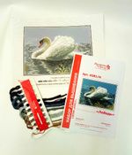 Набор для вышивания нитками Матренин Посад, Лебедь 28х37 см