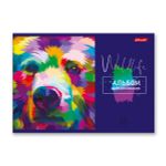 Альбом для рисования 100 г/м², A4 29х20.5 см, 40 л. на скобе, 5 шт, 000233 Радужный зверь, Светоч 40АЛСК4_1_3_9