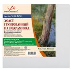 Холст на подрамнике грунтованный 24х30 см, 380 г/м², 2 шт, мелкозернистый, Vista-Artista SCLC-2430