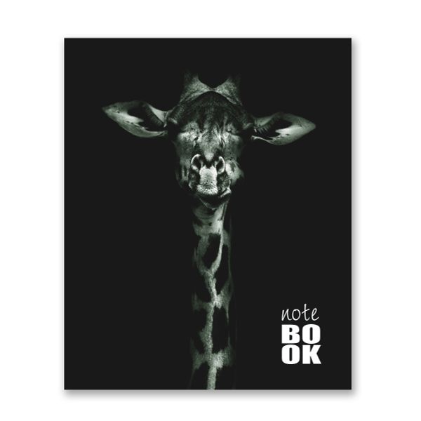 Бизнес-блокнот, матовая ламинация, A5+ 80 л. 18 шт, клетка, Всё решится! 000423, Светоч 80ББТ5_2_5_1